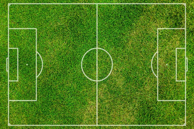 Fodboldens nye stjerner: Hvem er fremtidens landshold?
